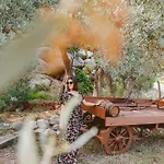 Ferienhaus Calami - Romeo - Private With Pool, Seaview & Olive Grove