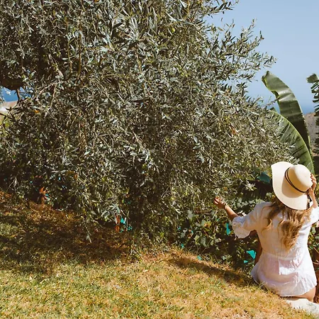 Calami - Romeo - Private With Pool, Seaview & Olive Grove * Santa Caterina Dello Ionio Marina