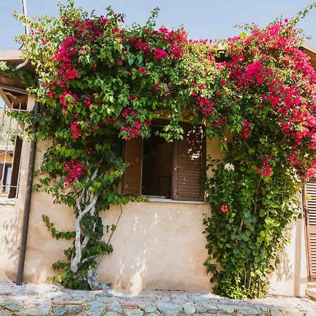 Calami - Romeo - Private With Pool, Seaview & Olive Grove *
