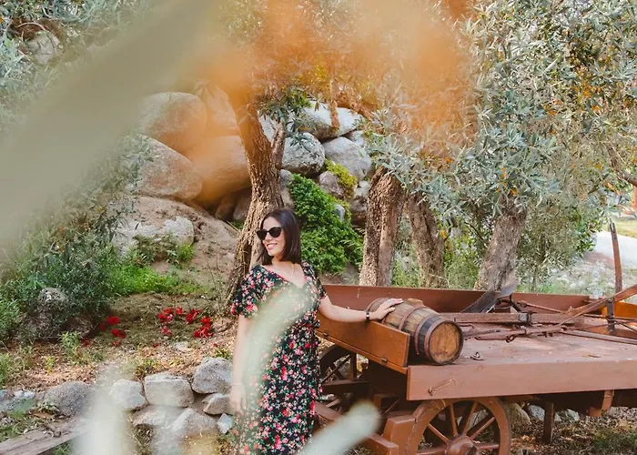 בית נופש Calami - Romeo - Private With Pool, Seaview & Olive Grove