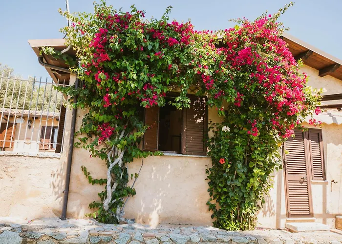 Calami - Romeo - Private With Pool, Seaview & Olive Grove *